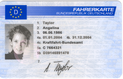 Digitale Fahrerkarte Bestellen