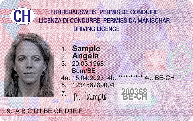 Fahrerqualifizierungsnachweis Online Kurs