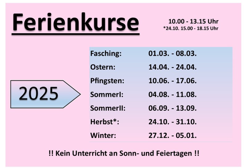 Fahrschule Express Kosten
